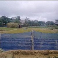 Bán Lô Đất Kđt Phú Mỹ An View Công Viên Chuẩn Bị Hình Thành, Giá Rẻ