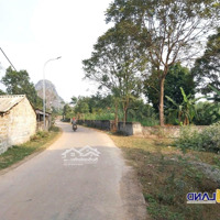 4. 3 Triệu/M2 Đất Hà Nội. Phù Hợp Đầu Tư Nhà Vườn Kho Xưởng. Mặt Đường 12M Trục Chính