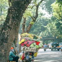 Bán Gấp Buildingmặt Tiềncộng Hòa-Cổng Nhà Ga T3,P.13,Q.tân Bình. S= 12X33Mx7Tầng, Hđt 350 Triệu/Tháng. 95Tỷ
