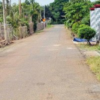 Bán Đất Xã Xuyên Mộc Diện Tích: 1000M2 Đường Nhựa, Khu Dân Cư Đông, Giá Tốt Để Đầu Tư Làm Nhà Vườn