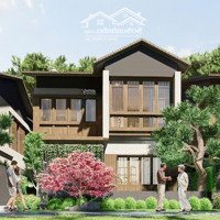 Sổ Đỏ Lâu Dài - Giá Trị Bền Vững Biệt Thự Khoáng Nóng Riêng Tư, Nâng Tầm Sức Khỏe