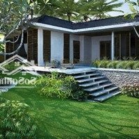 Sổ Đỏ Lâu Dài - Giá Trị Bền Vững Biệt Thự Khoáng Nóng Riêng Tư, Nâng Tầm Sức Khỏe