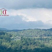 Đất Diện Tích Lớn 21.062,5M2 - Siêu View Núi Đồi Rừng Thông - Cách Trung Tâm 5Km - Giá Rẻ 3, 5 Triệu/M2