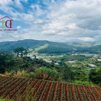 Đất Diện Tích Lớn 21.062,5M2 - Siêu View Núi Đồi Rừng Thông - Cách Trung Tâm 5Km - Giá Rẻ 3, 5 Triệu/M2