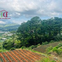 Đất Diện Tích Lớn 21.062,5M2 - Siêu View Núi Đồi Rừng Thông - Cách Trung Tâm 5Km - Giá Rẻ 3, 5 Triệu/M2