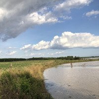 Bán Đất Sào Hoà Thạnh, Châu Thành, Tây Ninh Làm Nhà Yến, Làm Nhà Vườn