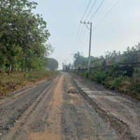 Hàng Thơm Bán Gấp Trong Tuần 2223M2 Skc, Chỉ 12,8 Tỷ