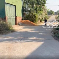 Bán Đất Tại Thạch Sơn, Minh Phú, Sóc Sơn, Hà Nội, 16,8 Triệu / M2, 504 M2 , Nhanh Tay Để Sở Hữu Nó