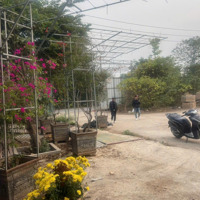 Cho Thuê Kho Xưởng Tại Long Biên
- P Cự Khối- Long Biên