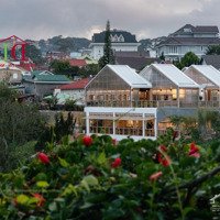 Mặt Tiền Hoàng Hoa Thám - Diện Tích Lớn Sẵn 600M2 Xây Dựng Và Tiệm Cafe - View Rừng Thông Săn Mây