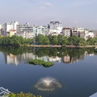 Mặt Phố Ngũ Xá Trúc Bạch Sổ Đỏ 140M2 Mặt Tiền 8M Hậu 8M Giá Bán 72 Tỷ (Quá Đẹp Để Đầu Tư )