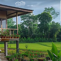 Cơ Hội Đầu Tư! Đất View Suối Gần Đồi Thông, Vị Trí Siêu Đẹp, Giá Siêu Tốt!