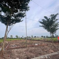 Bán Biệt Thự Khu Đô Thị Cienco5 Mê Linh, Hà Nội Vị Trí Đẹp, Giá Hợp Lý. Diện Tích 375M2