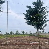 Bán Biệt Thự Khu Đô Thị Cienco5 Mê Linh, Hà Nội Vị Trí Đẹp, Giá Hợp Lý. Diện Tích 375M2