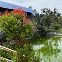 Đất 1000m2 vuông vức, view cao nhìn toàn khu, tiện ích nội khu độc đáo, hệ tiện nghi hiện đại, giá hấp dẫn chỉ từ 2,170 tr/m2
