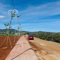 Siêu Phẩm Đất Khu Dân Cư Mới Xã Liên Hiệp,Diện Tích23X70M, Công Nhận 1641M2 Tc Giá Chỉ 5 Tỷ