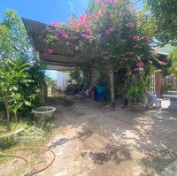 Chào Bán Lô Đất Đường Đại An 3. Khu Tđc Bá Tùng Giai Đoạn 1. Sát Võ Chí Công Giá Đầu Tư