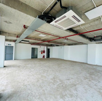 Mặt Tiền Nguyễn Tri Phương 8X20M Hầm 9 Lầu 190 Triệu/Tháng