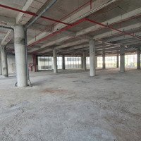 Cho Thuê Trung Tâm Thương Mại Tầng 2 Gateway Vũng Tàu Phù Hợp Văn Phòng Cửa Hàng Kinh Doanh