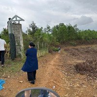 Bán Nhanh Gần 2000M2 Đất Hòa Ninh, Hòa Vang, Đà Năng, Giá Chỉ 1,5 Tỷ
