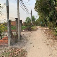Cắt Lỗ Sâu Chỉ 250 Triệu/148M2 Full Thổ Cư Tại Xã Phước Minh -Dmc Shr, Công Chứng Ngay