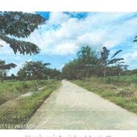 Bán Đgts Đất Tại Phường Hắc Dịch, Thị Xã Phú Mỹ, Tỉnh Bà Rịa - Vũng Tàu