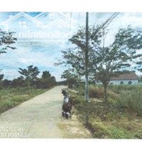 Bán Đgts Đất Tại Phường Hắc Dịch, Thị Xã Phú Mỹ, Tỉnh Bà Rịa - Vũng Tàu