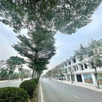 Bán Nhà Mặt Phố Nguyễn Văn Cừ, 87 Triệu, 100M2, View Đẹp, Từ Sơn, Bắc Ninh