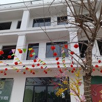 Bán Nhà Mặt Phố Nguyễn Văn Cừ, 87 Triệu, 100M2, View Đẹp, Từ Sơn, Bắc Ninh