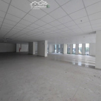 Cho Thuê Nhà Mặt Tiền Dtsd 1600M2 - Đường Trần Quang Diệu, Phường 14, Quận 3