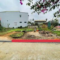 Chính Chủ Bán Lô Đất Hoa Hậu Tại Thôn Đa B Xã Sơn Đông Thị Xã Sơn Tây Hà Nội.diện Tích60M2 Giá Bán 1Ty420