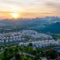 Đang có 60 căn biệt thự trên đồi, suất đầu tư chỉ 1,5 tỷ với biệt thự hơn 200m2