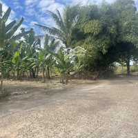 Bán Đất Tại Châu Pha, Phú Mỹ, Bà Rịa Vũng Tàu, 1,5 Tỷ, 300M2 - Hot! Giá Ưu Đãi