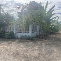 Bán Đất Tại Châu Pha, Phú Mỹ, Bà Rịa Vũng Tàu, 1,5 Tỷ, 300M2 - Hot! Giá Ưu Đãi