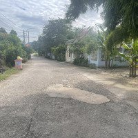 Bán Đất Tại Châu Pha, Phú Mỹ, Bà Rịa Vũng Tàu, 1,5 Tỷ, 300M2 - Hot! Giá Ưu Đãi