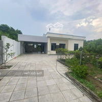 Bán Nhà Mặt Tiền Đường Bùi Thị Điệt, Diện Tích: 25X73M Tổngdiện Tích1.789M2, Có 900M Thổ Cư