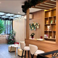 Đường Trường Chinh, Phương Liệt, Thanh Xuân, Hà Nội, 11,65 Tỷ, 48,8 M2 Đẹp Xuất Sắc Giá Ưu Đãi