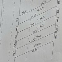 20 Nền F0 130M2 Tại Lộ Đình, Thạnh Trị, Gò Công Tây, Tiền Giang Chỉ Với Giá Tốt 549 Triệu