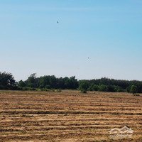 Bán 1 Sào 3 Đất Xã Hòa Thạnh, Châu Thành. Khu Này Thuận Tiện Cho Làm Nhà Yến
