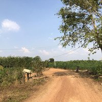 Bán 1 Sào 3 Đất Xã Hòa Thạnh, Châu Thành. Khu Này Thuận Tiện Cho Làm Nhà Yến