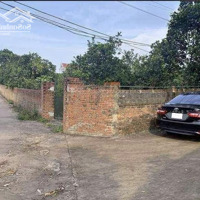 Siêu Hiếm! Nhà Cấp 4 + Vườn 1.900M2 Chỉ 430 Triệu Công Chứng Ngay