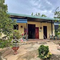 Siêu Hiếm! Nhà Cấp 4 + Vườn 1.900M2 Chỉ 430 Triệu Công Chứng Ngay
