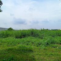 Bán đất xây dựng xưởng 2.5ha KCN Mỹ Xuân, Phường Mỹ Xuân, Tx Phú Mỹ, BRVT