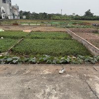 Bán Đất Đấu Giá Đường Phúc Tiến, Biên Giang , Hà Đông 3,6 Tỷ, 60M2, Pháp Lý Đầy Đủ