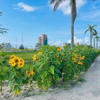 Chính Chủ Cần Bán Lô Mặt Tiền Trần Quốc Vượng Đối Diện Công Viên Siêu Đẹp