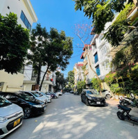 7 Tầng Thang Máy - Giảng Võ : 58M2 - Mặt Tiền 5M - Oto Vào Nhà - Nhà Mới Đẹp Ở Luôn.