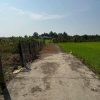 3 công đất xã Lợi Bình Nhơn, TP Tân An tỉnh Long An