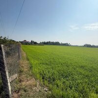 3 công đất xã Lợi Bình Nhơn, TP Tân An tỉnh Long An