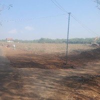 Đất Có Thổ Cư Ngay Tthc Phú Riềng