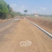 Đất Có Thổ Cư Ngay Tthc Phú Riềng